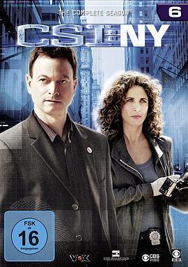 犯罪现场调查：纽约 第六季 CSI: NY Season 6 (2009)海报