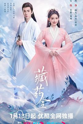 藏药令 (2024)海报