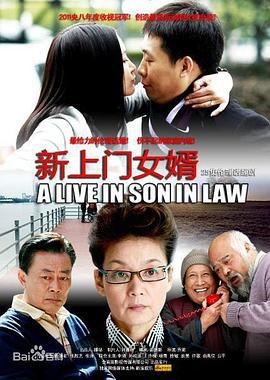新上门女婿 (2010)海报
