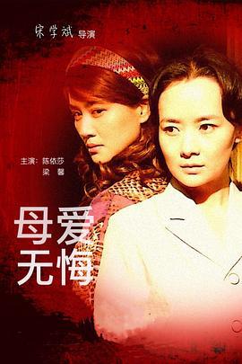母爱无悔 (2011)海报