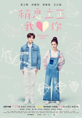 稍息立正我爱你 稍息立正我愛你 (2017)海报
