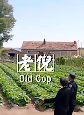 老倪 (2020)海报