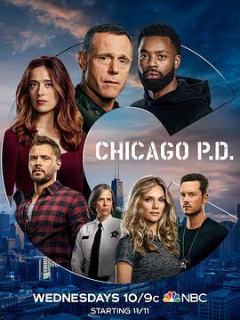 芝加哥警署 第八季 Chicago P.D. Season 8 (2020)海报