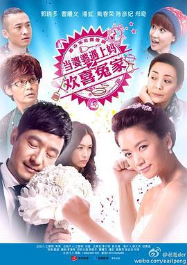 当婆婆遇上妈之欢喜冤家 (2014)海报