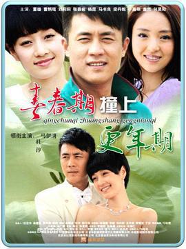 青春期撞上更年期 (2010)海报