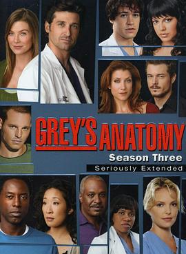 实习医生格蕾 第三季 Grey's Anatomy Season 3 (2006)海报