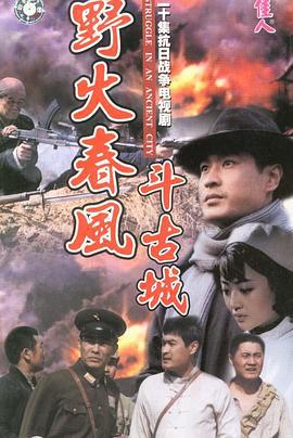 野火春风斗古城 (1995)海报