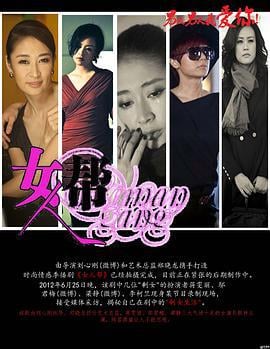 女人帮 (2013)海报