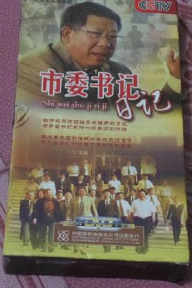 市委书记日记 (2007)海报
