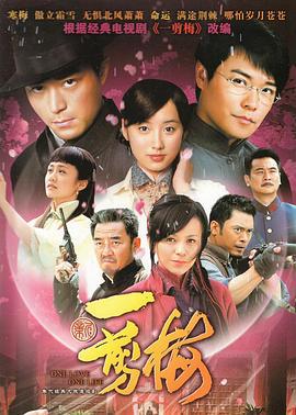 新一剪梅 (2010)海报