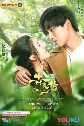 青囊传 (2019)海报