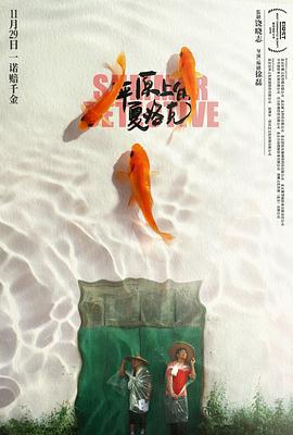 平原上的夏洛克 (2019)海报
