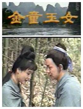金童玉女 (1991) dvd海报