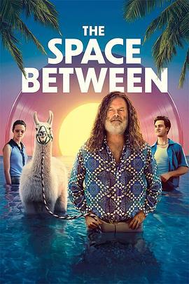 你和我之间的距离 The Space Between (2020)海报