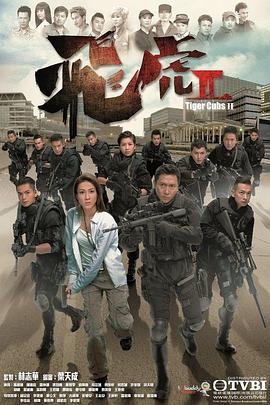 飞虎2 飛虎II (2014)海报