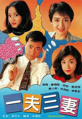 一夫三妻 (1993)海报