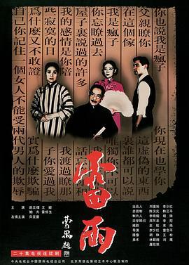 雷雨 (1996)海报