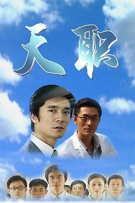 天职 (2009)海报