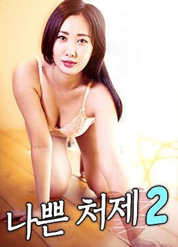 坏小姨2海报