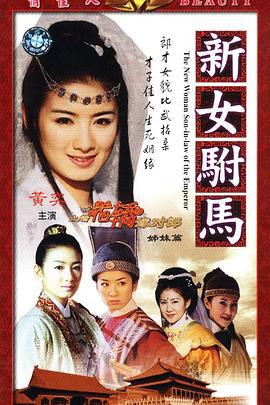 新女驸马 (2001)海报