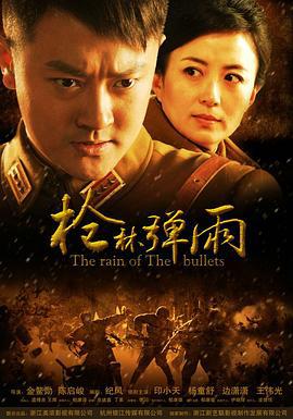 枪林弹雨 (2012)海报