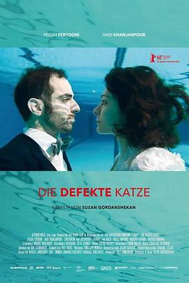 功能失常的猫 Die defekte Katze (2018)海报