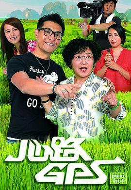 心路GPS (2013)海报
