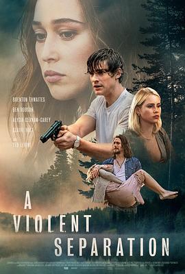 爆裂兄弟 A Violent Separation (2019)海报