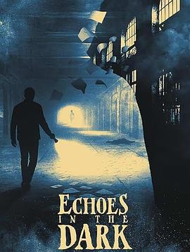 黑暗中的回声 Echoes in the Dark (2024)海报