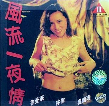 风流一夜情海报