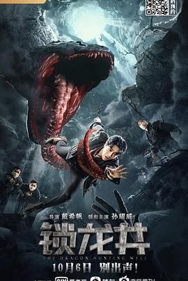 锁龙井 (2020)海报