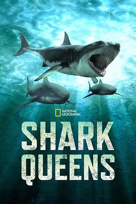 女王鲨 Shark Queens (2022)海报