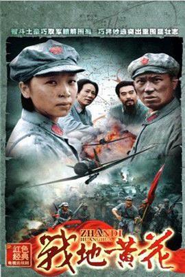 战地黄花 (2011)海报