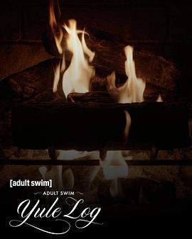 圣诞炉火 The Fireplace (2022)海报