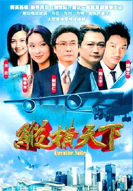 纵横天下 (2001)海报