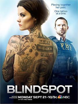 盲点 第一季 Blindspot Season 1 (2015)海报