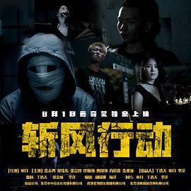 斩风行动 (2019)海报