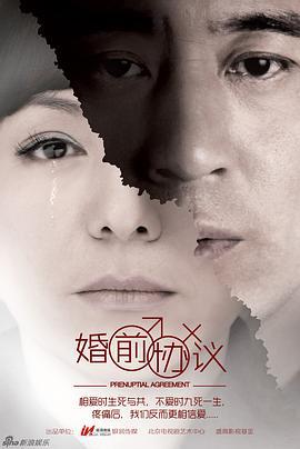 婚前协议 (2013)海报