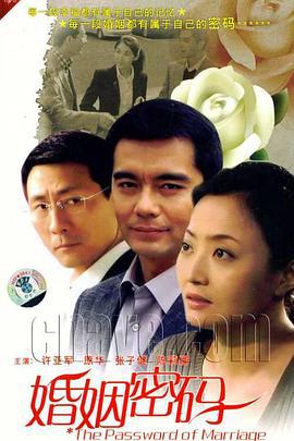 婚姻密码 (2011)海报