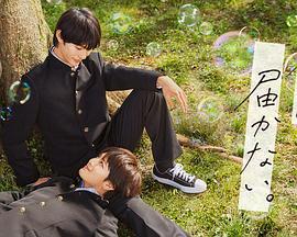 无法传达给你 君には届かない。 (2023)海报