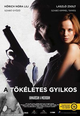 正义狙击 A tökéletes gyilkos (2017)海报