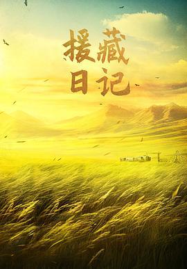 援藏日记 (2021)海报