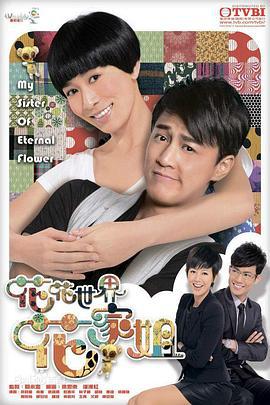 花花世界花家姐 (2011)海报