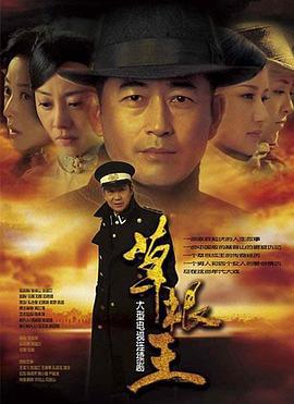 草根王 (2010)海报
