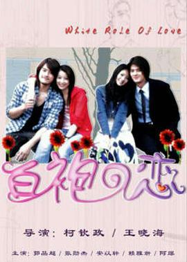 白袍之恋 (2006)海报