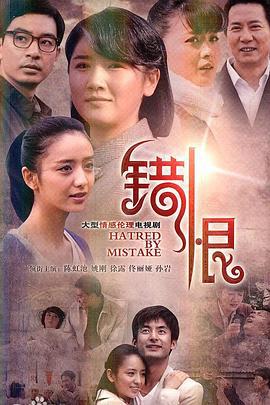 错恨 (2011)海报