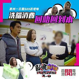 臥底旅行團2.0 (2019)海报