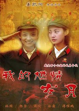 我的燃情岁月 (2011)海报