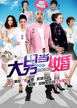 大男当婚 (2012)海报
