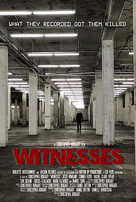 目击者 Witnesses (2019)海报